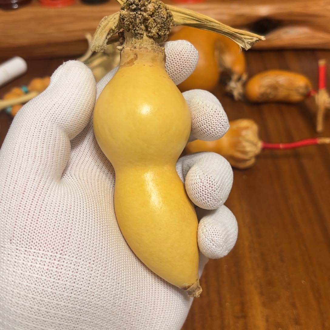 阿***道文玩葫芦吊坠项链