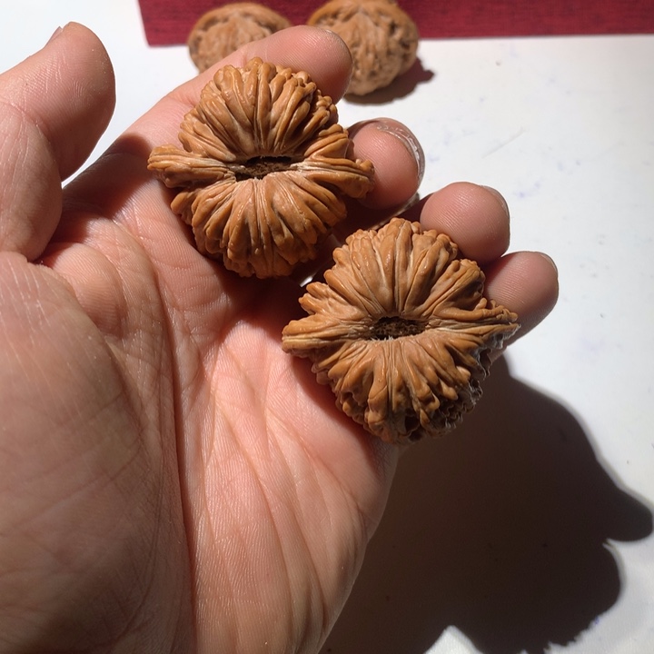 把件文玩核桃K**o楼子