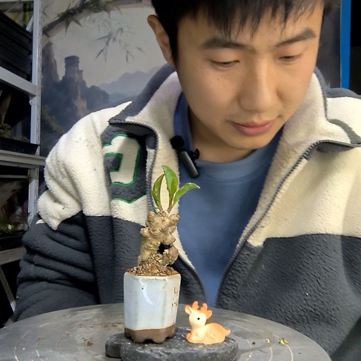 池****n中青园艺一物一拍花146