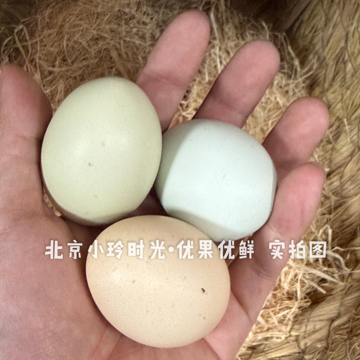 【农家三色散养蛋】无抗无激素·宝宝孕妇放心吃·柴鸡蛋·山鸡蛋·鹅蛋