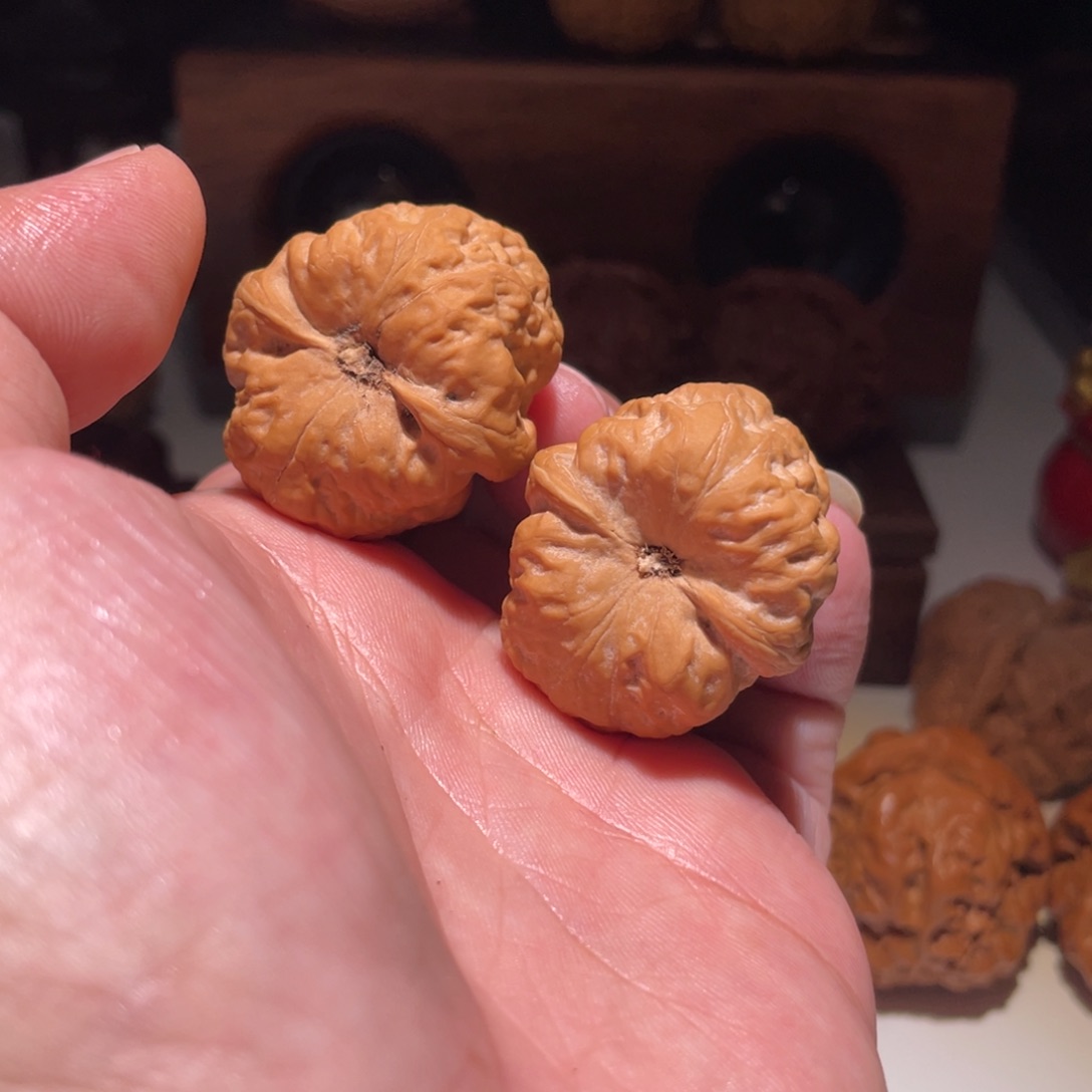 Y***.吊坠文玩核桃31古蝉