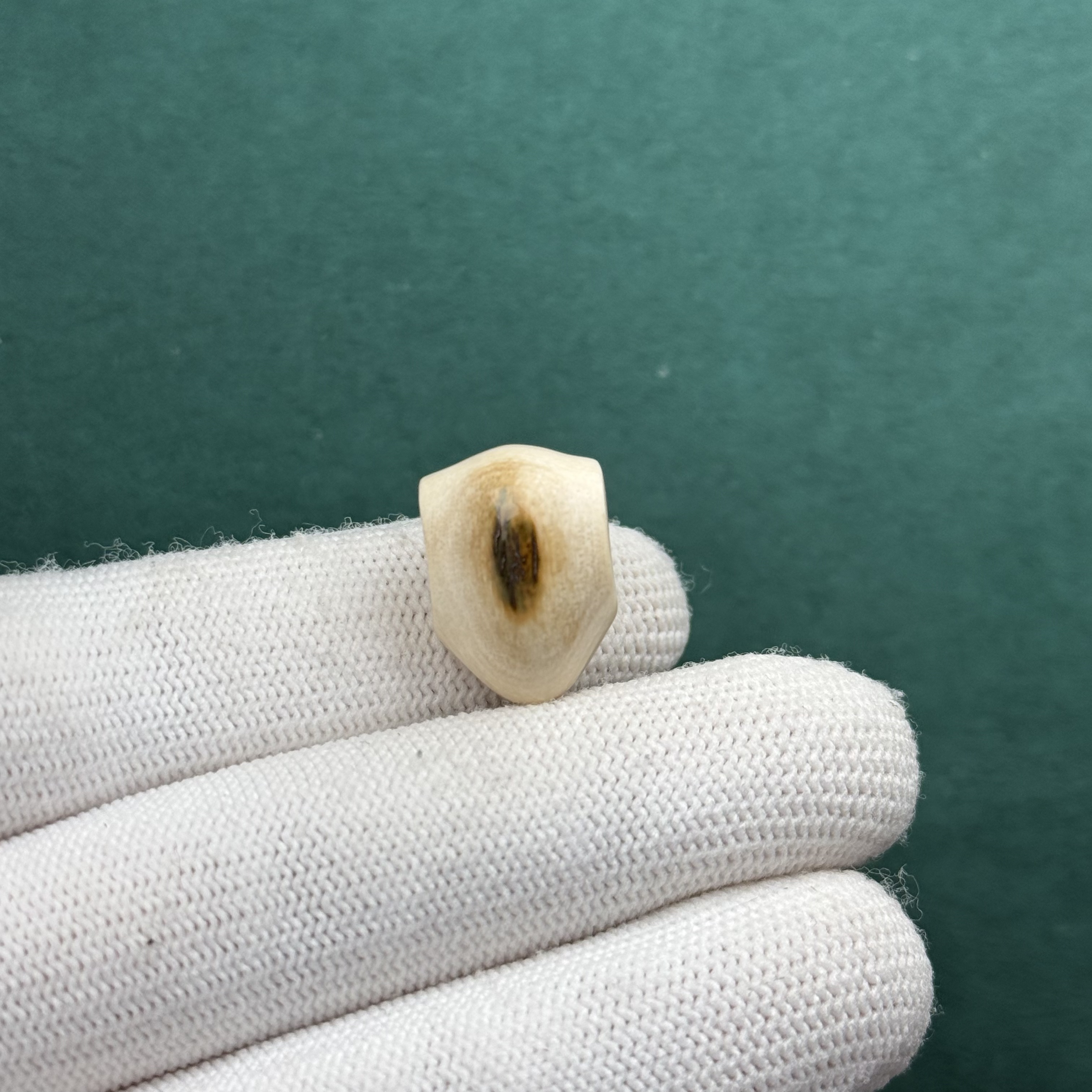 D71-24天然猛犸牙 黄金瞳鲨鱼背三通13*18.3mm支持复检假一罚十