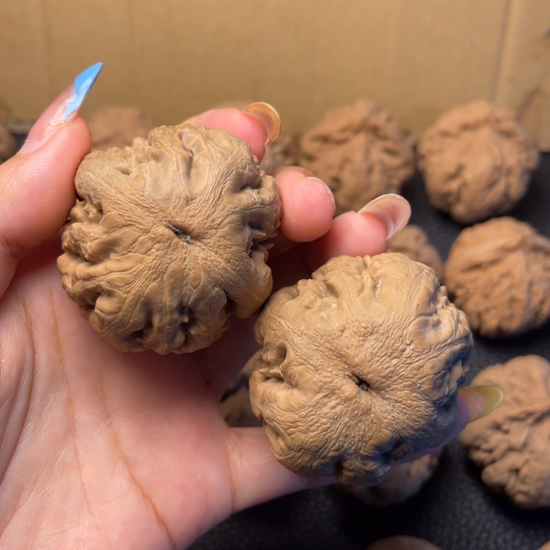 文玩核桃吊坠全品霸王龙42