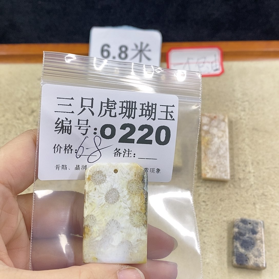 硅化珊瑚（珊瑚玉）1未镶嵌外**阳