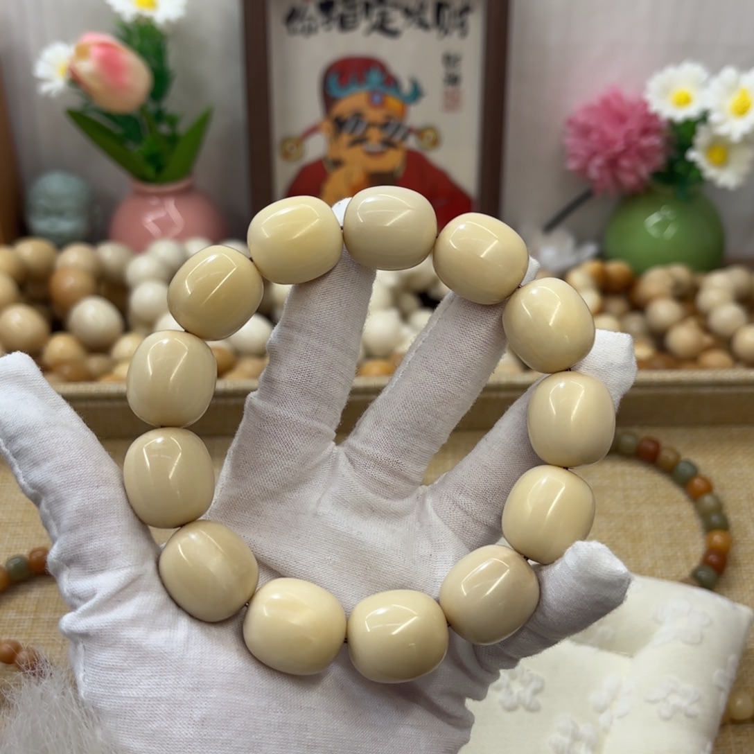 吊坠菩提根/象牙果20干磨瑕疵牙果枣653