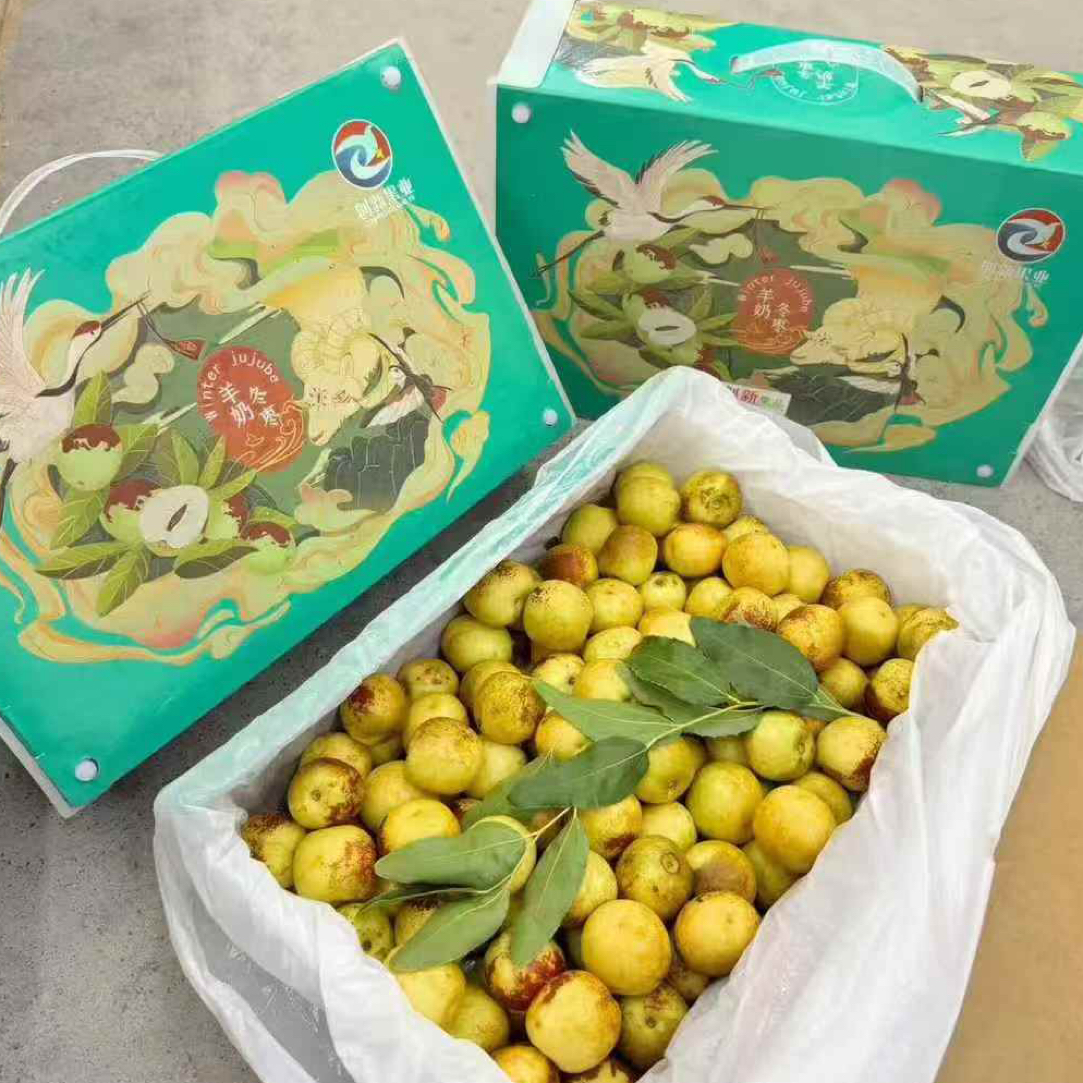 羊奶冬枣一盒一斤装