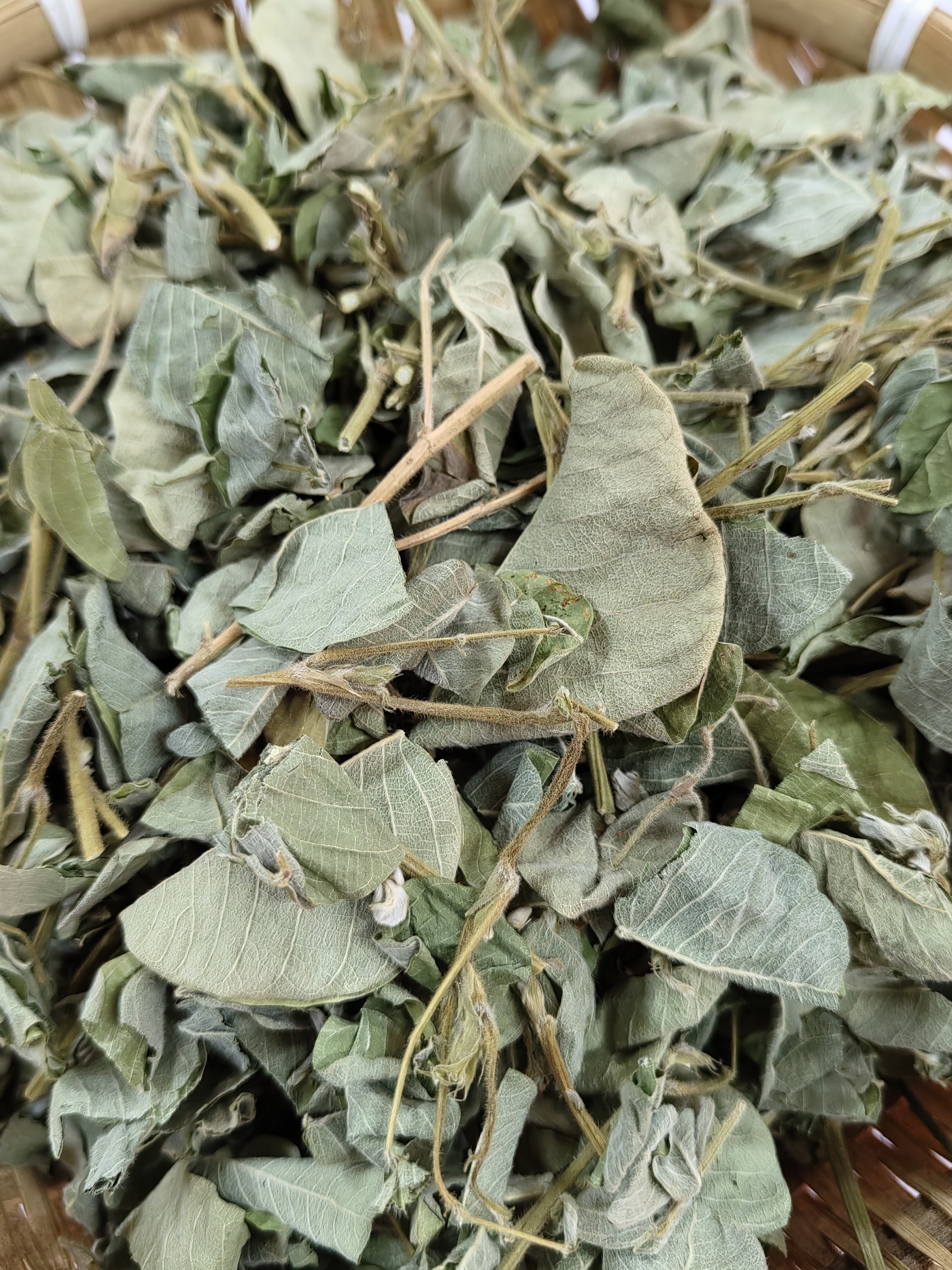 【金秀大瑶山】大叶金钱草干货泡水煮水蒸肉饼