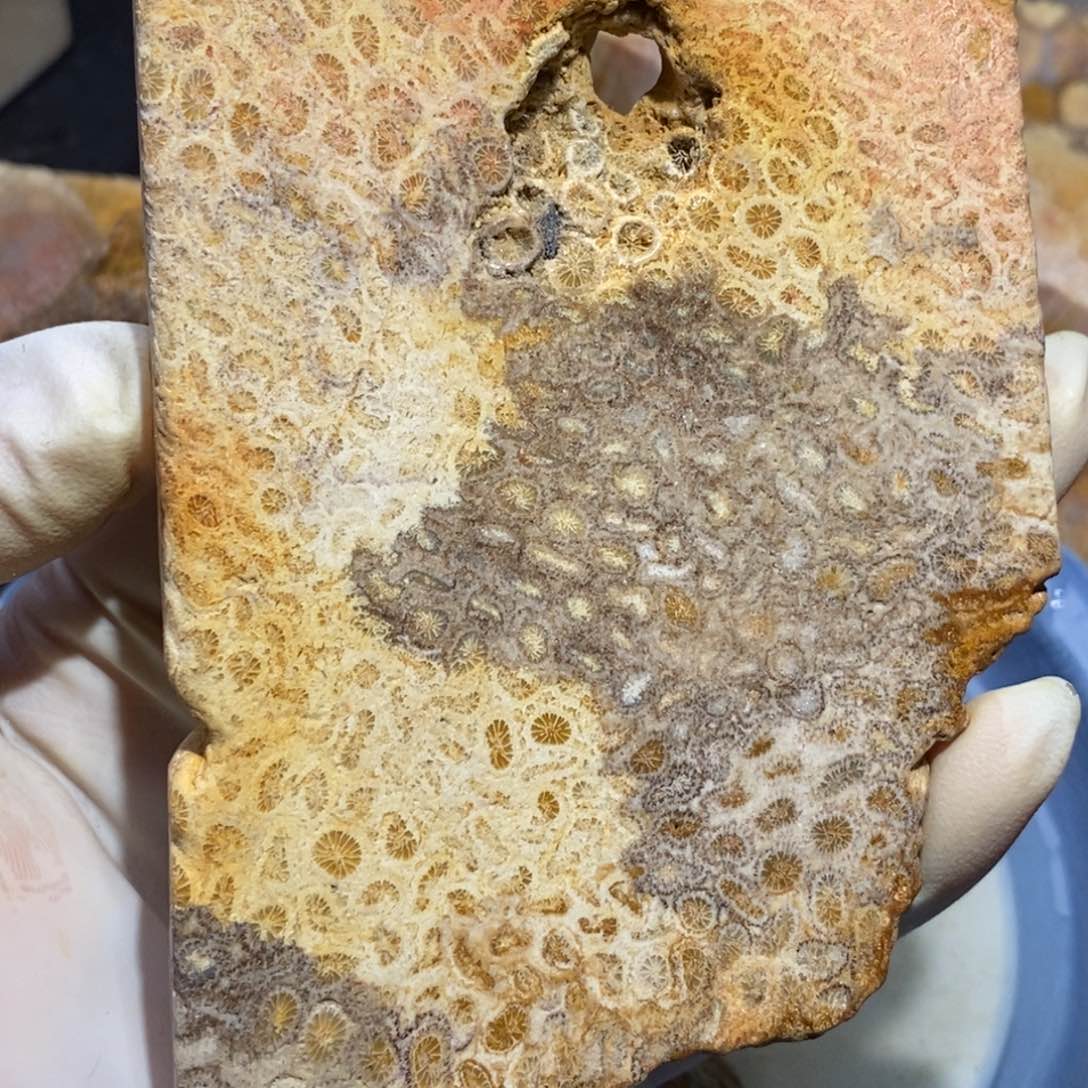 【闪购商品】硅化玉珊瑚玉未镶嵌
