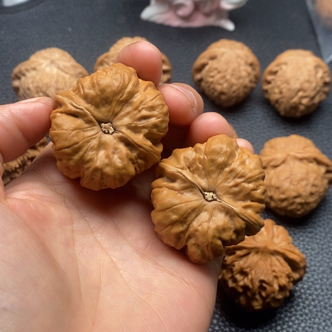 核桃有修蛤蟆11111111111