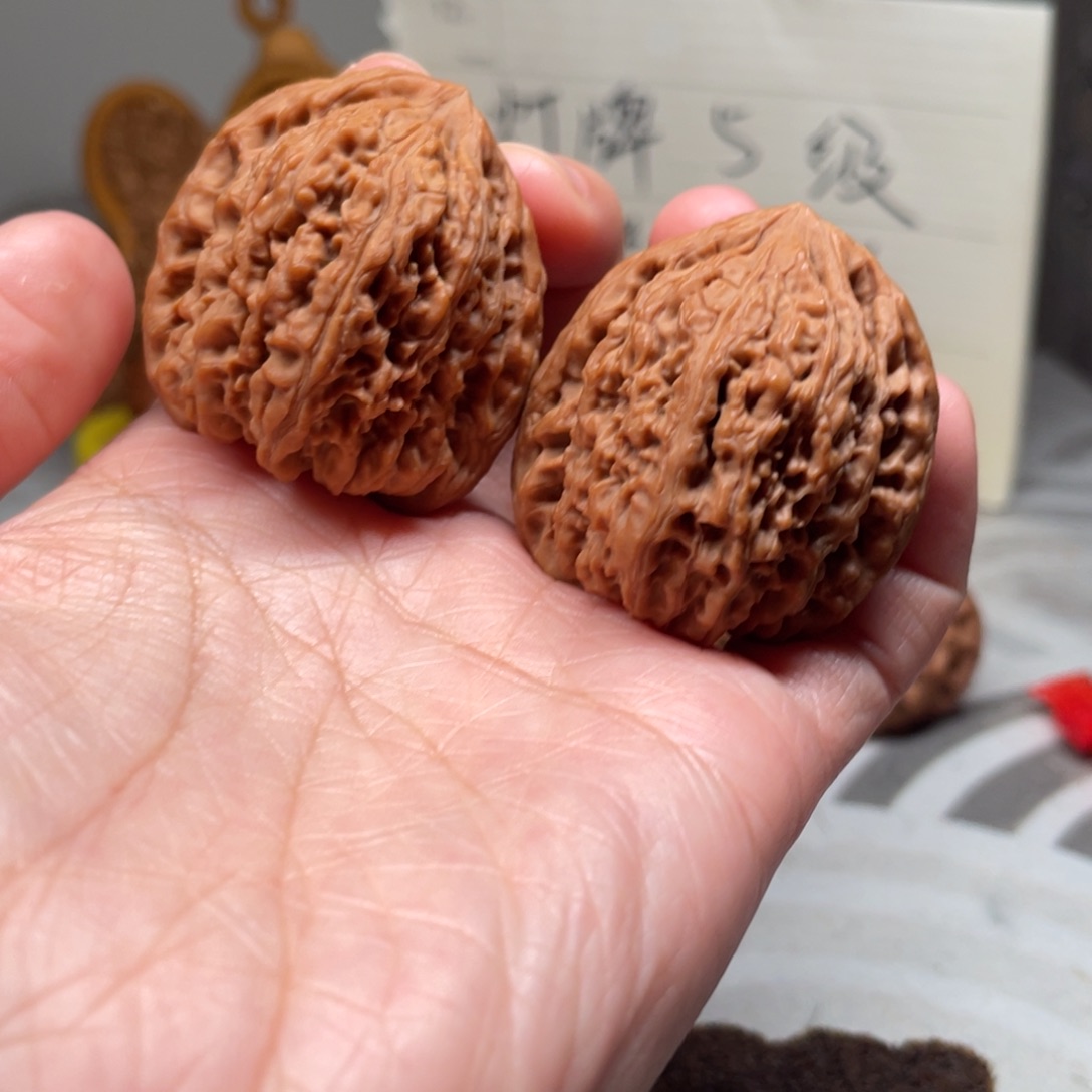 全品无修南疆右下