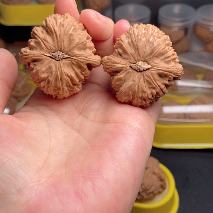 文玩核桃吊坠白狮子42➕