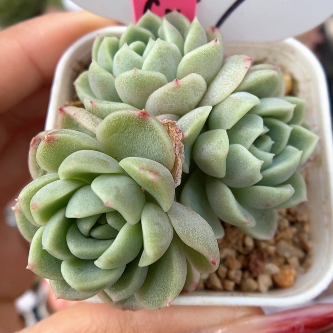 财富密码群生927号。 