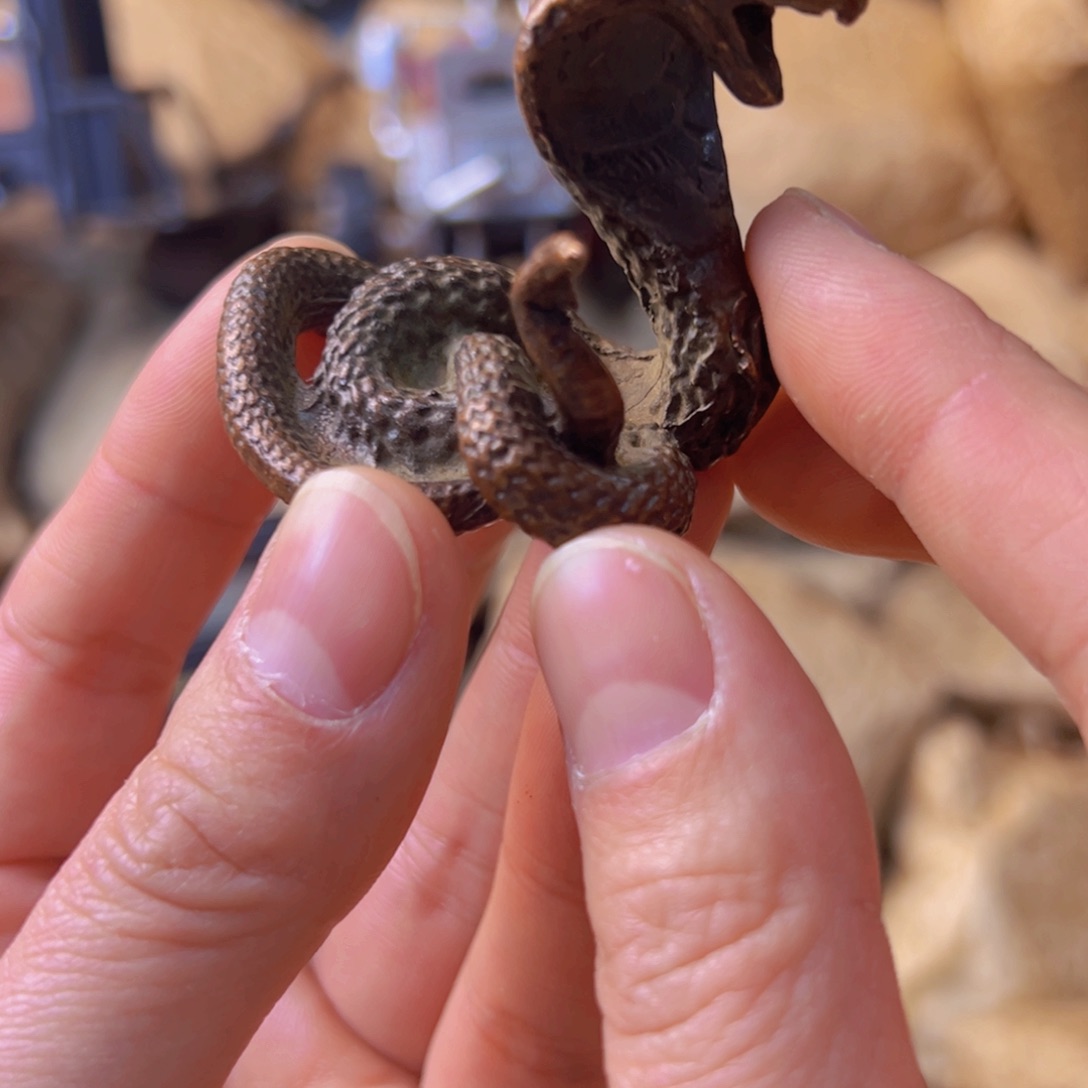 新年第一场全部给