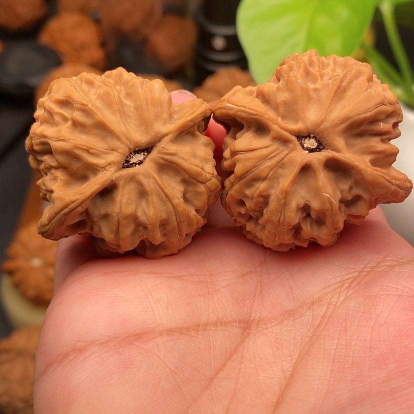 【闪购商品】文玩核桃把件梨木台全品40