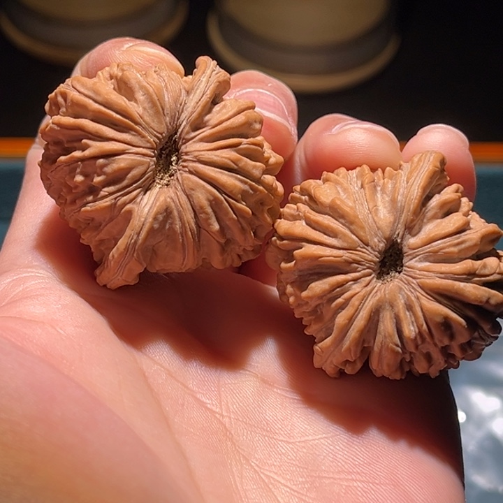 文玩核桃把件愤****侠39楼子毕业对