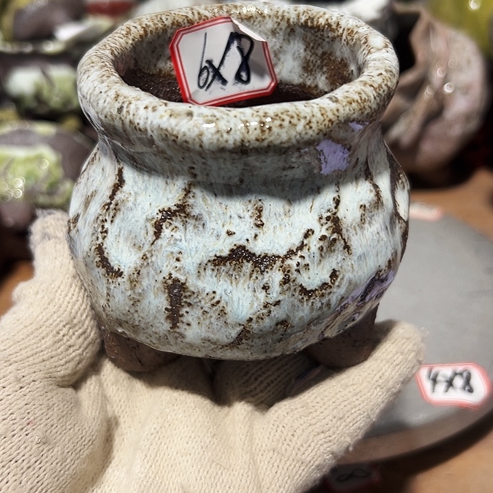 粗陶花盆，现在都不一样