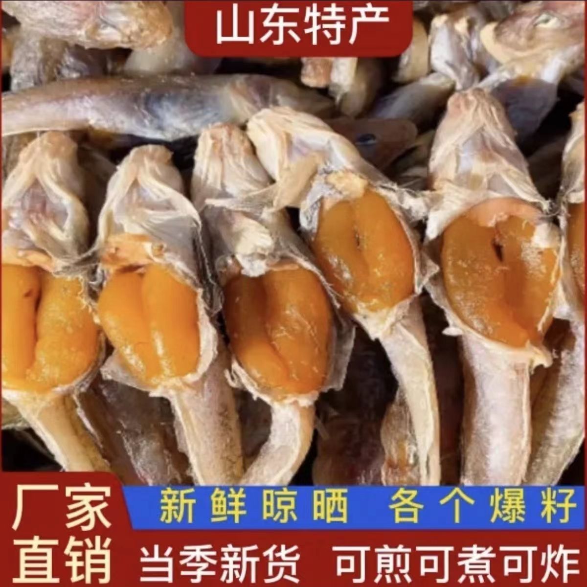 渤海湾带籽咸油光鱼咸鱼新鲜晾晒美味狗光鱼6成干羊口码头发货