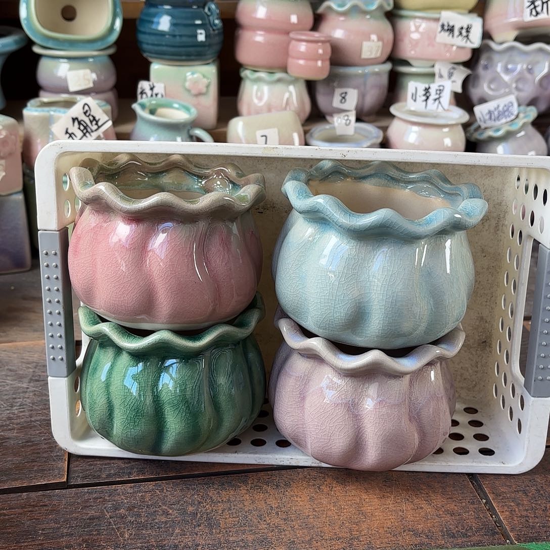 量货/口8高8深浅搭配发4