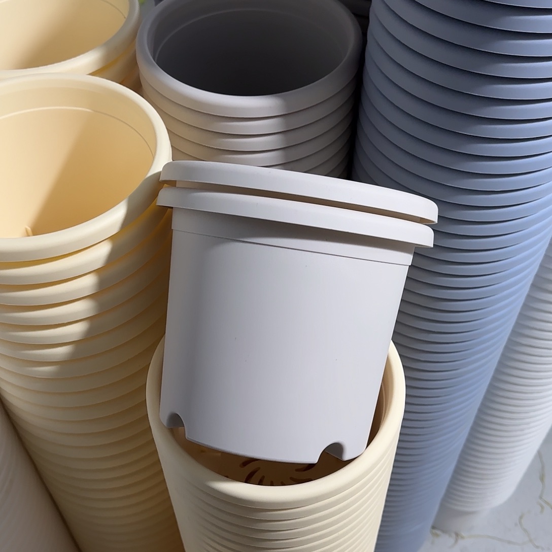 微瑕3号10个无托，灰白