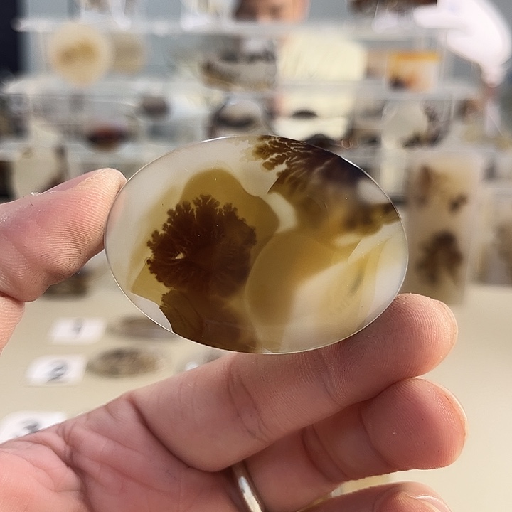 玛瑙/玉髓吊坠(不含链)未镶嵌