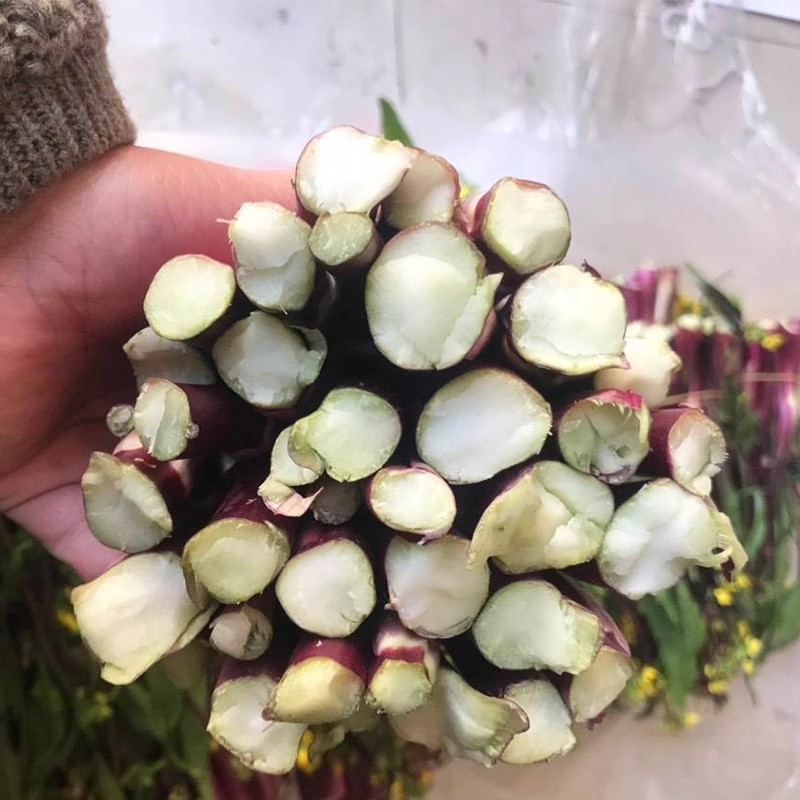    【小雨专属】湘西应季红菜苔