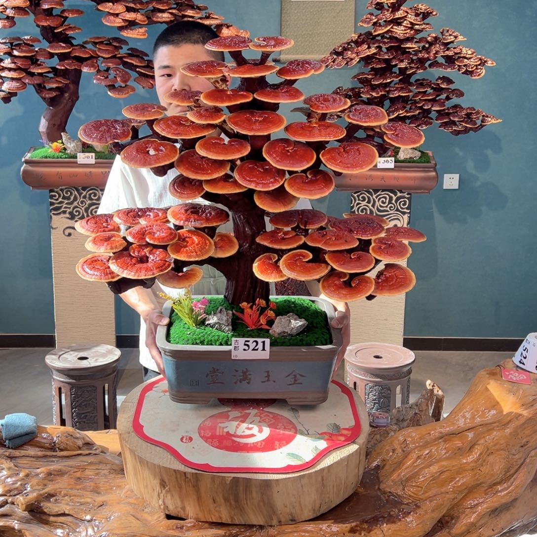 无花朵888888888888