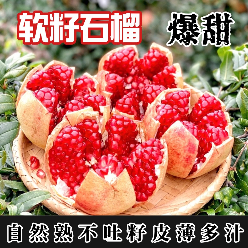 M四川会理软籽石榴会理突尼斯软籽石榴高山老树石榴四川省