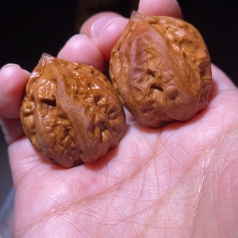 把件文玩核桃东北野生楸子小园 127