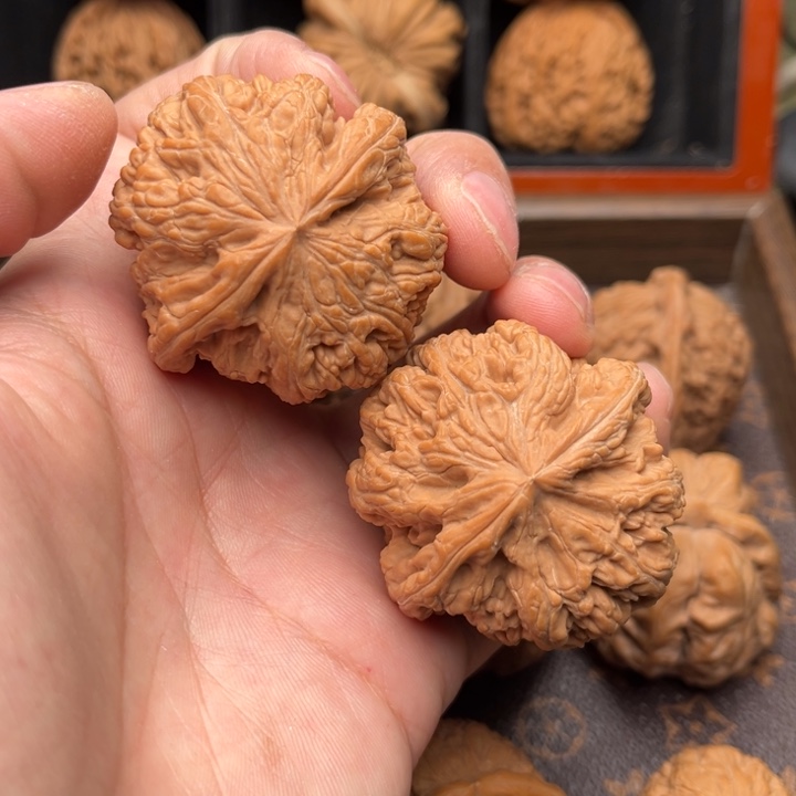 文玩核桃吊坠大粗筋