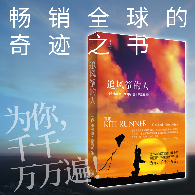 追风筝的人 感动世界的经典之作
