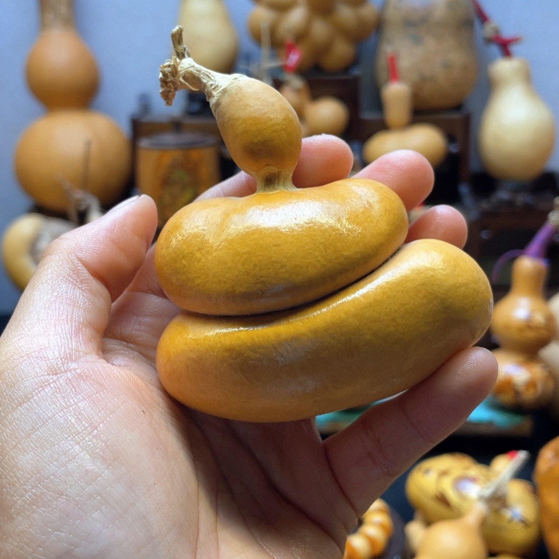 喜*大自然的秘密第十一节的