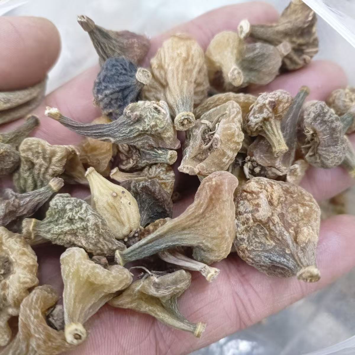 秋花独蒜兰、赶集人、土特产加枸杞煮