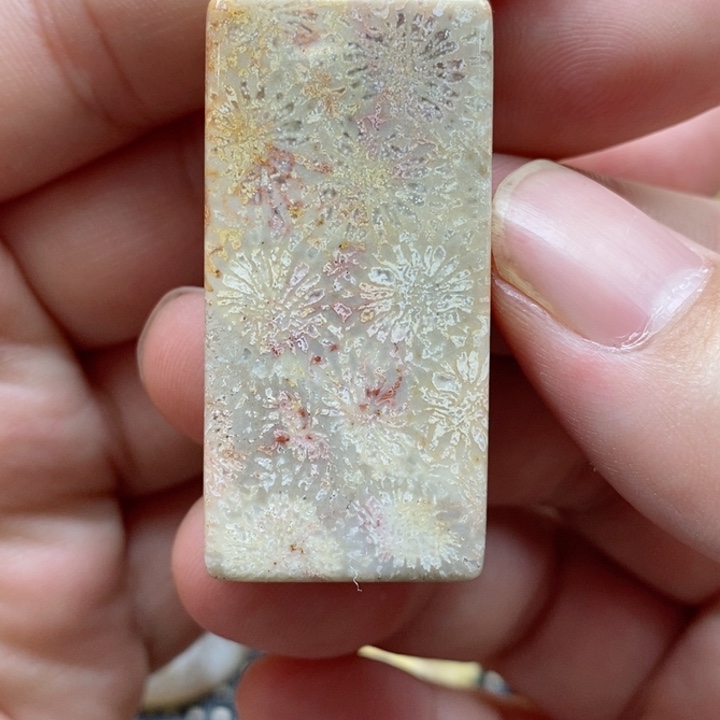 硅化珊瑚（珊瑚玉）颈饰未镶嵌