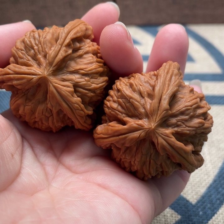 专***顶核桃白狮子41核桃