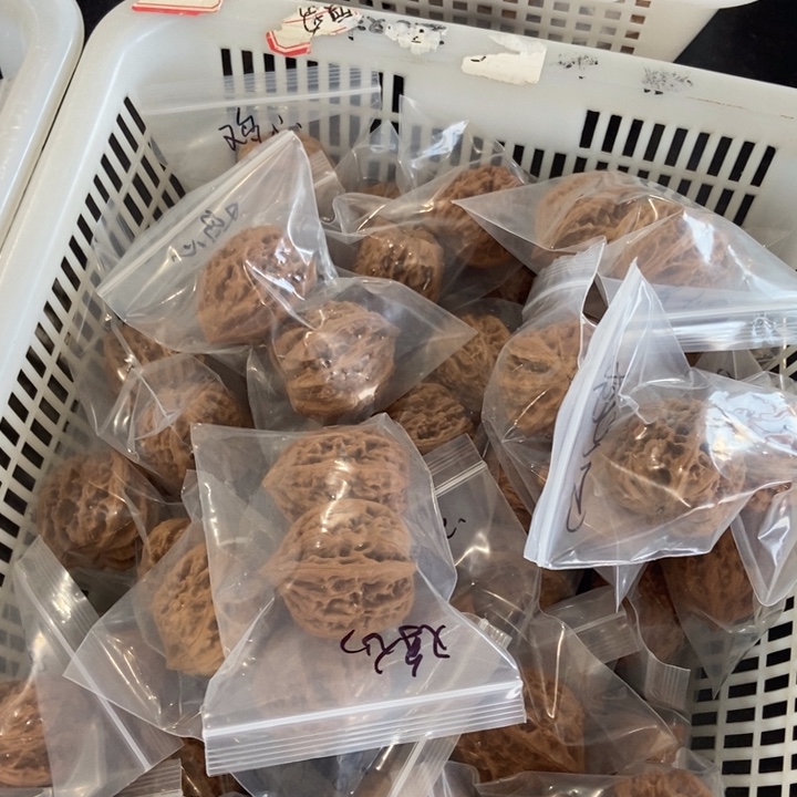 吊坠文玩核桃鸡心瑕疵