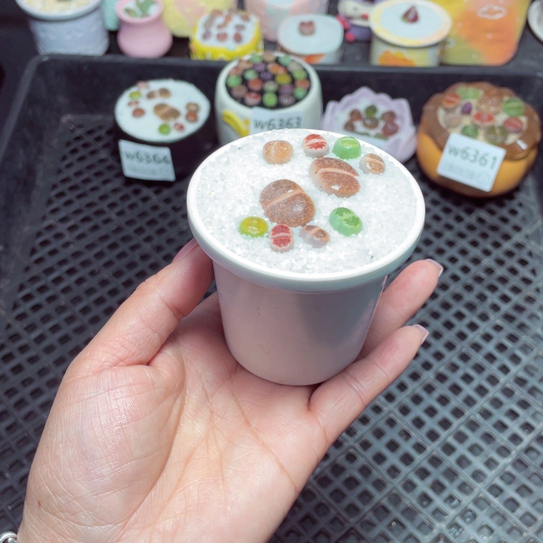 w6365 -零下地区拍保温箱-15支持寄养