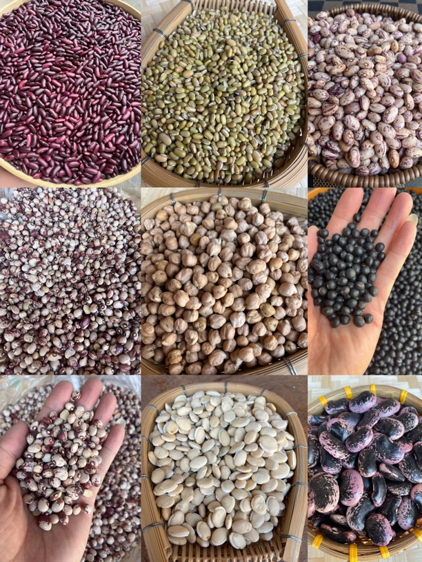 土特产豆子BZ1 重量38克 可搭配绿豆