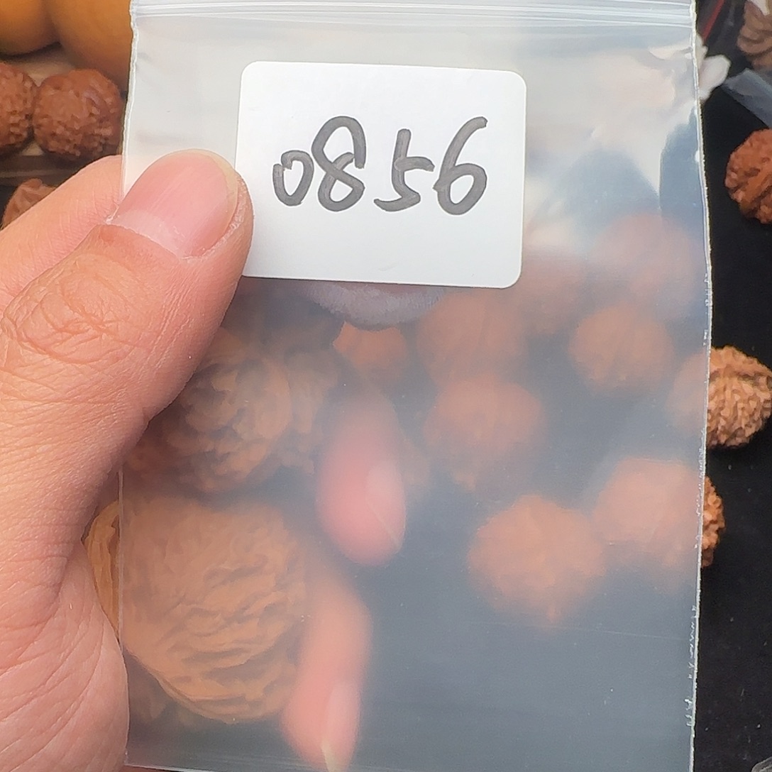 她***风文玩核桃把件0856全品43苹果园