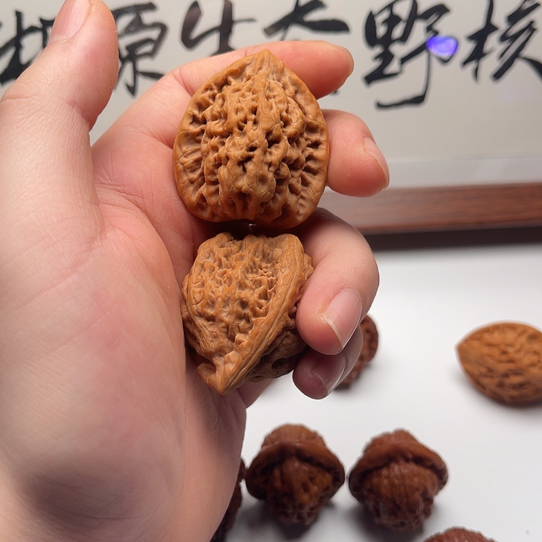文玩核桃把件子****金公子