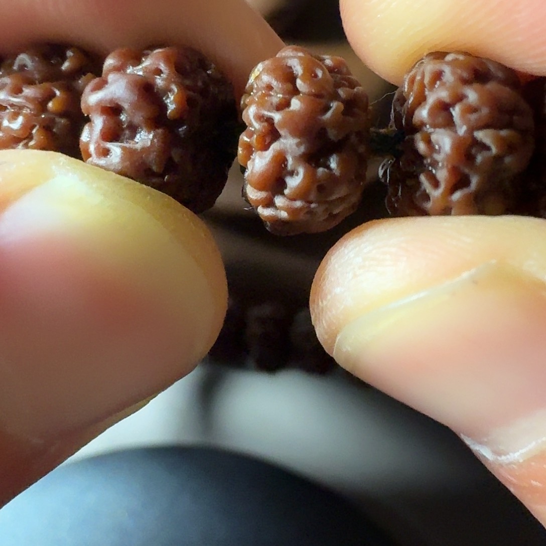 金刚菩提吊坠树祖平细的天花板