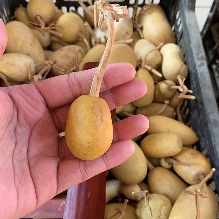 美**剧  jnmmmmmmmmmm