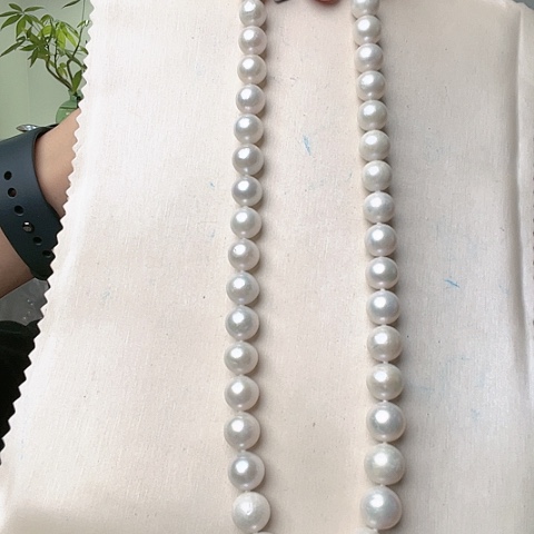 淡水珍珠颈饰未镶嵌H