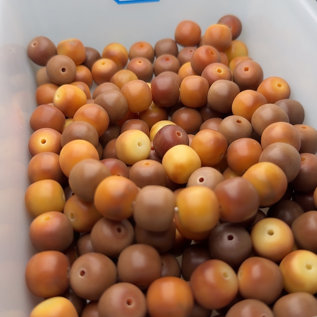 吊坠菩提根/象牙果50 颗黄油曲奇 14 干磨桶