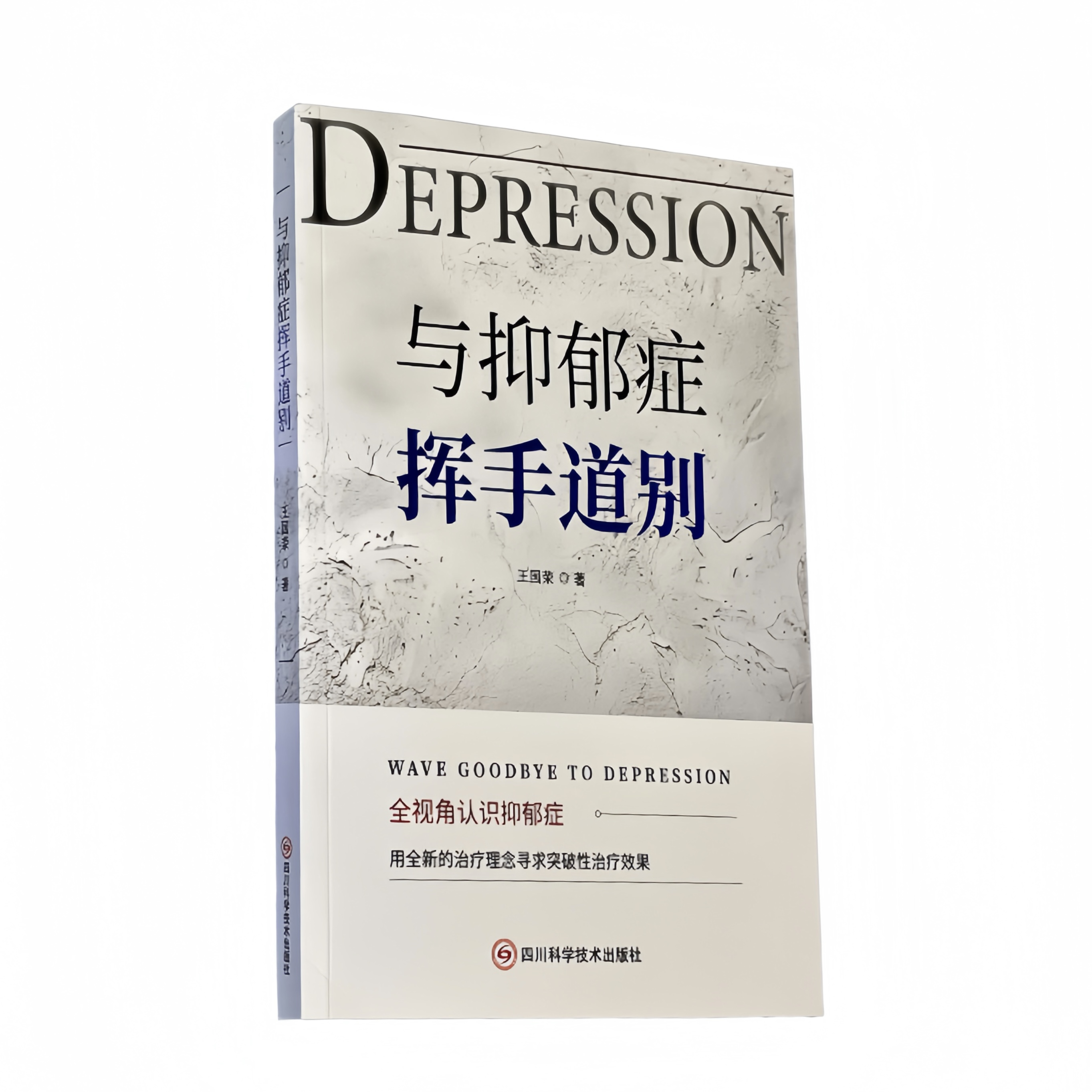 正版与抑郁症挥手道别心理学书籍疗愈自己王老师推荐