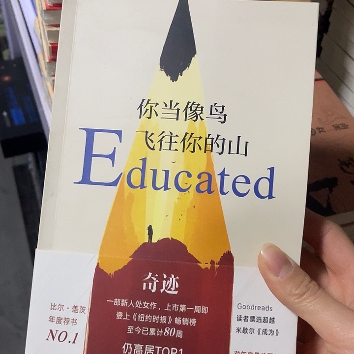 你当像鸟   平装带塑封