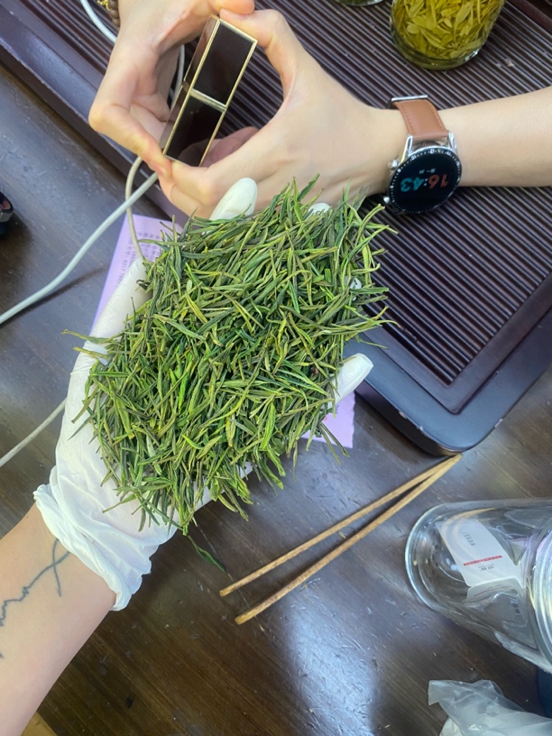 2025新茶白茶香气口感更胜往年260白茶