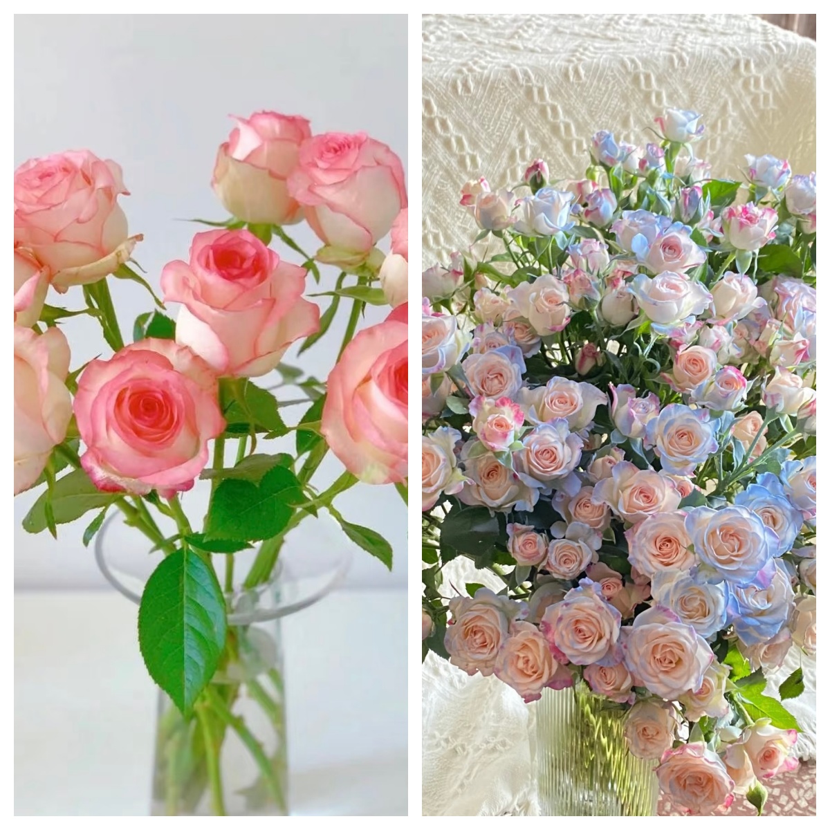 【艾莎玫瑰5枝＋碎冰蓝折射5枝】任意2单鲜花升级顺丰/德邦