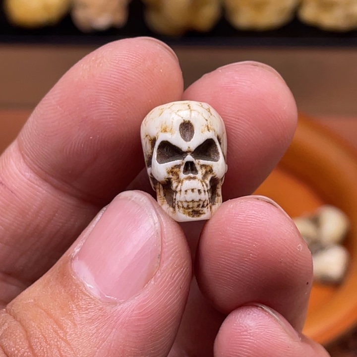 驼骨摆件人工养殖