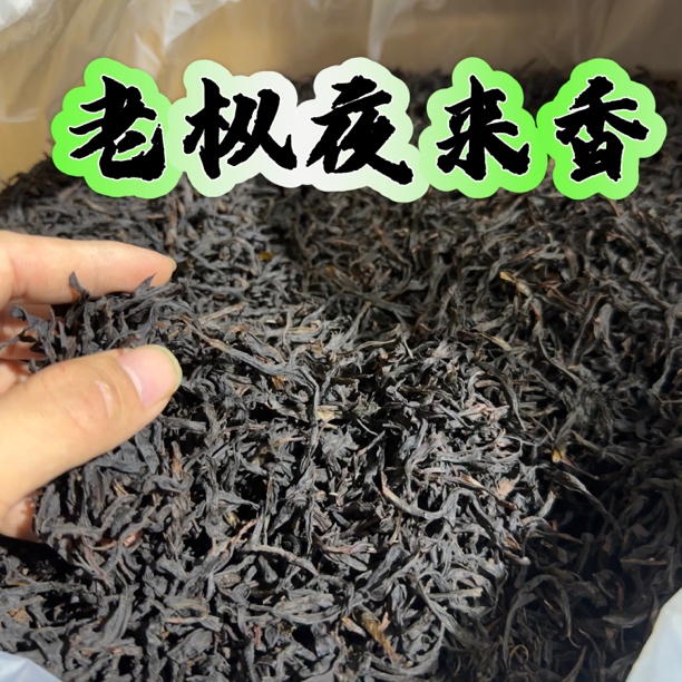 【老枞夜来香】中海拔凤凰单丛夜来香花香型轻中火浓香型耐泡回甘