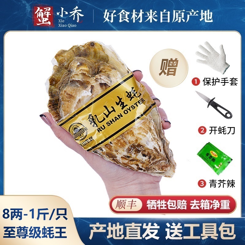 【8两-1斤/只】乳山生蚝10斤黄金牡蛎海蛎子5-10斤包活（至尊级蚝王）